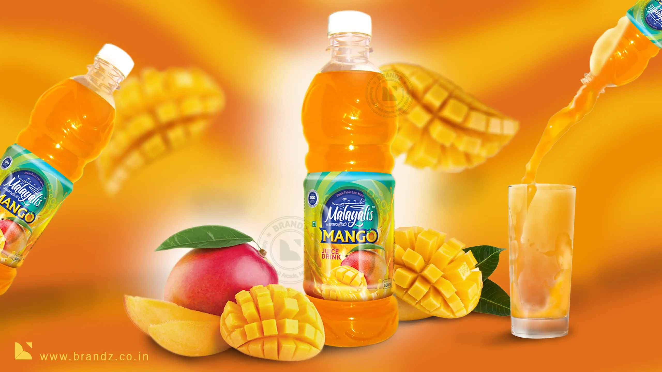 Malayalis Mango Juice Drink Label